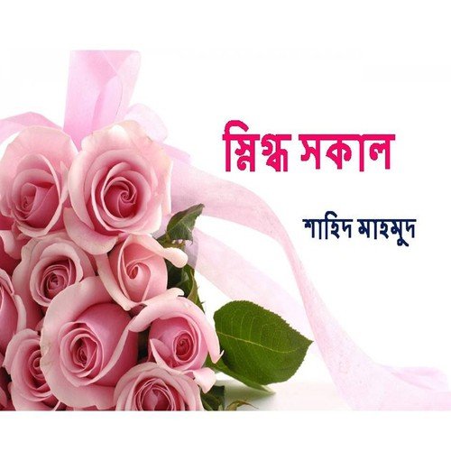 Shahid Mahmud Songs MP3 Download
